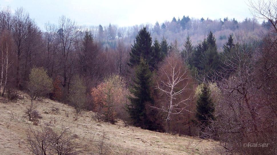 Obrázok blogu
