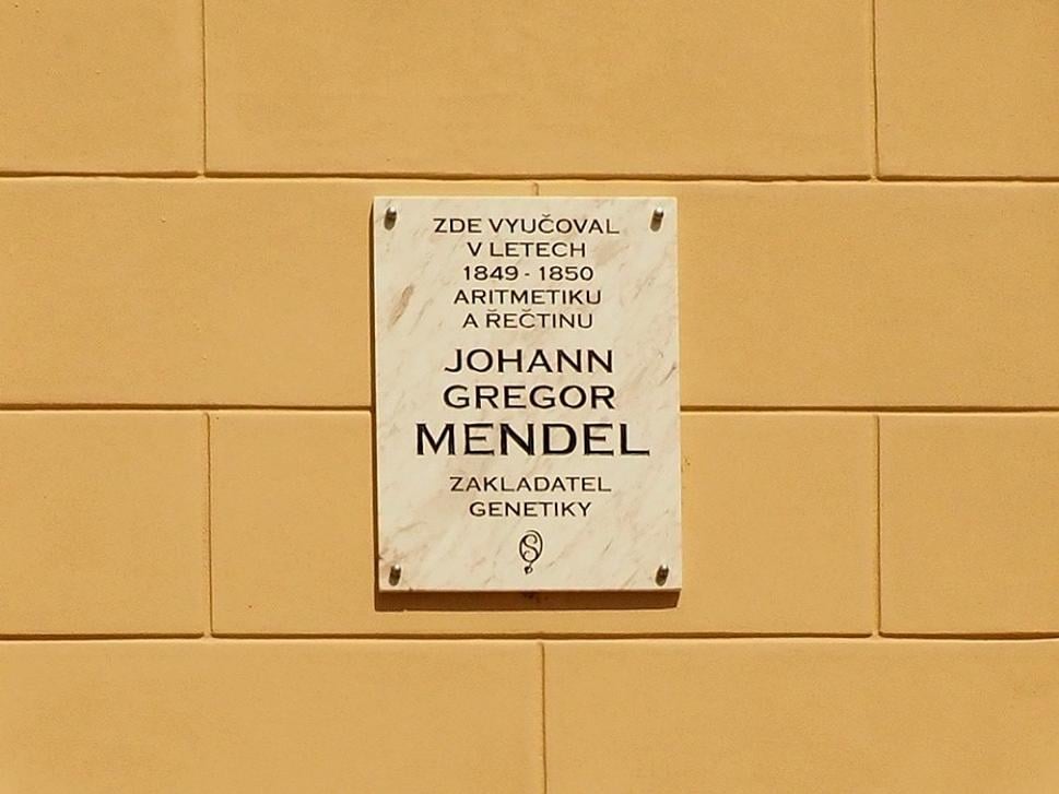 Mendel