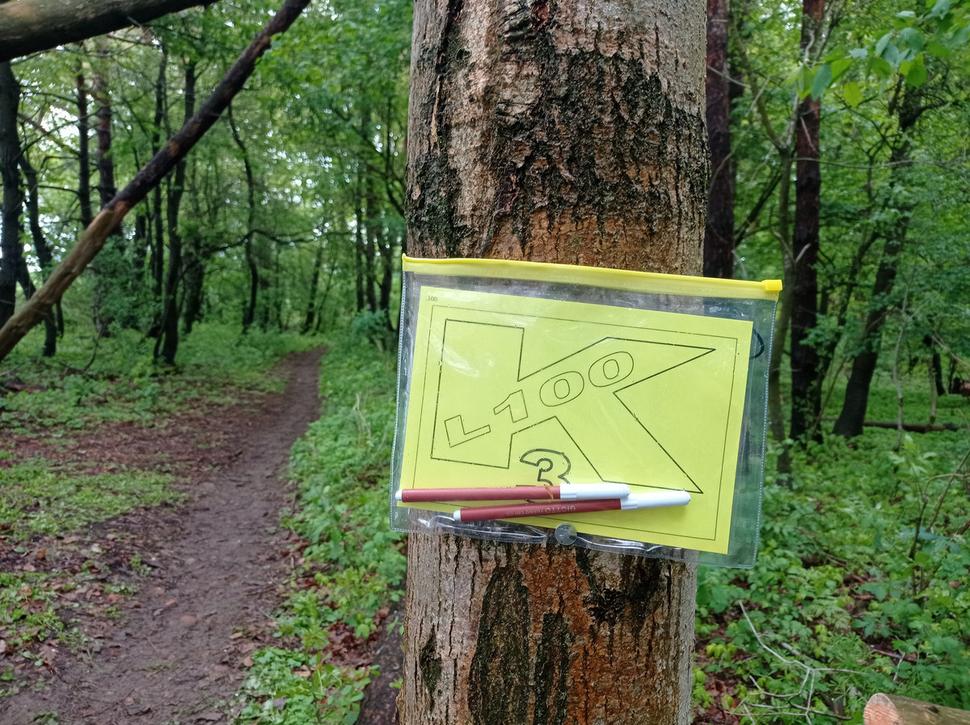 Niektoré kontroly ako aj táto bola samokontrola.