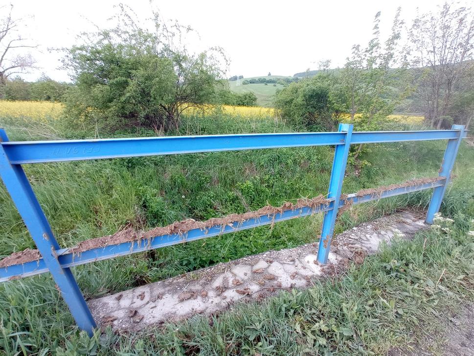 Obrázok blogu