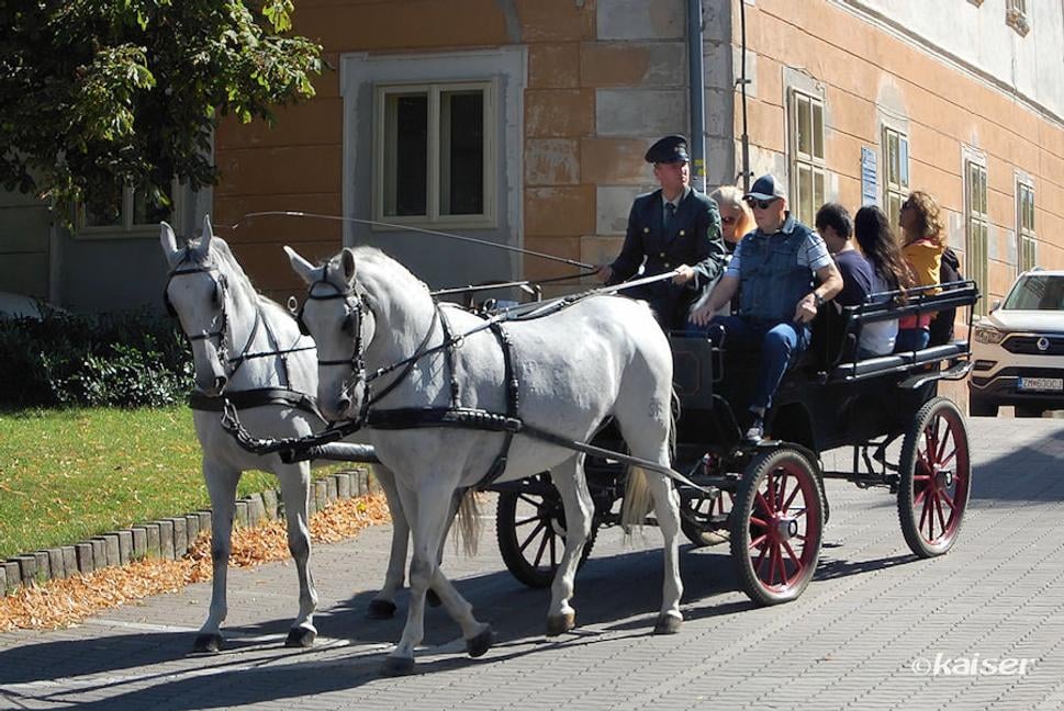 Jedna z atrakcií sviatočného podujatia