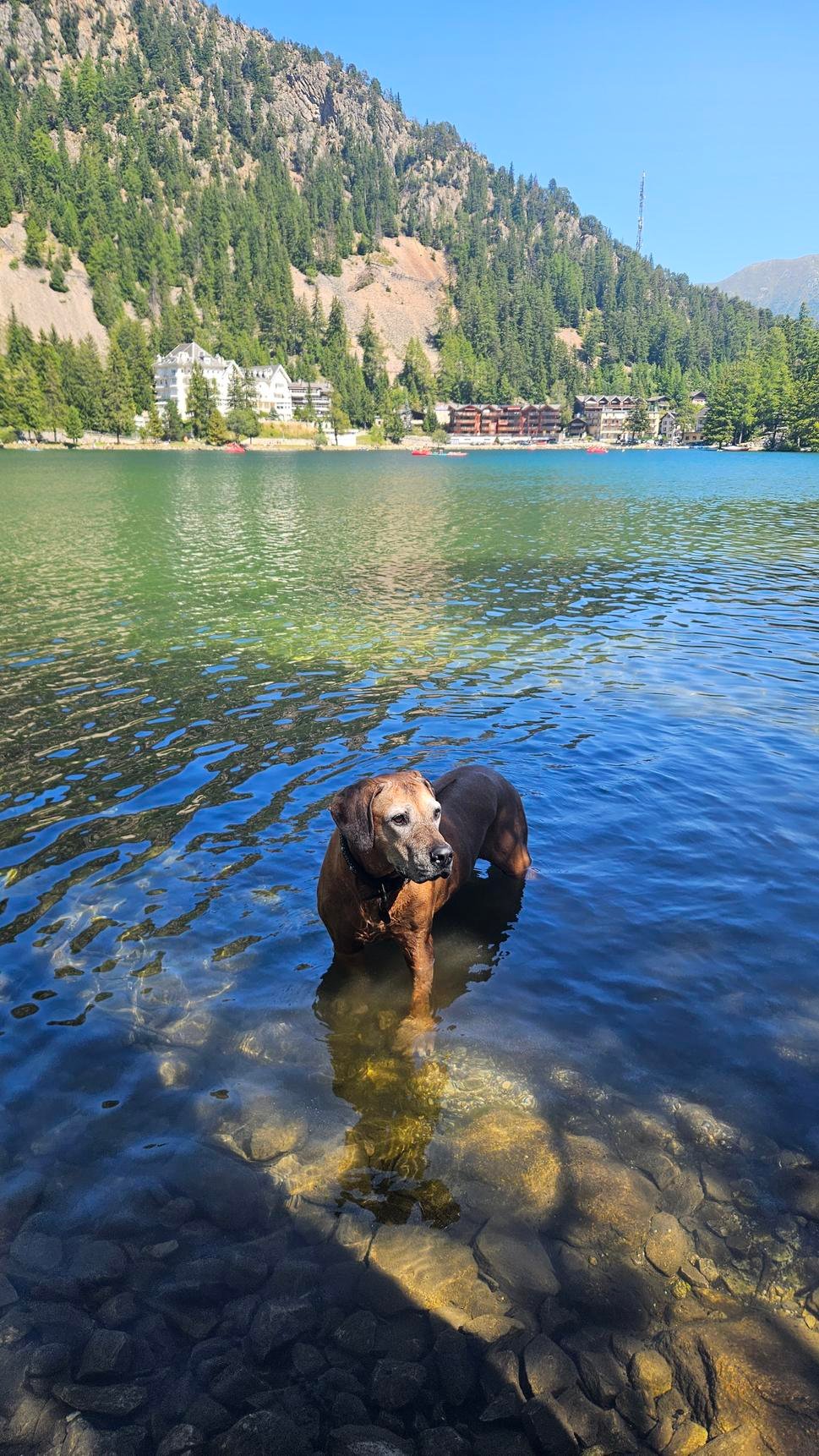 Jazero Champex