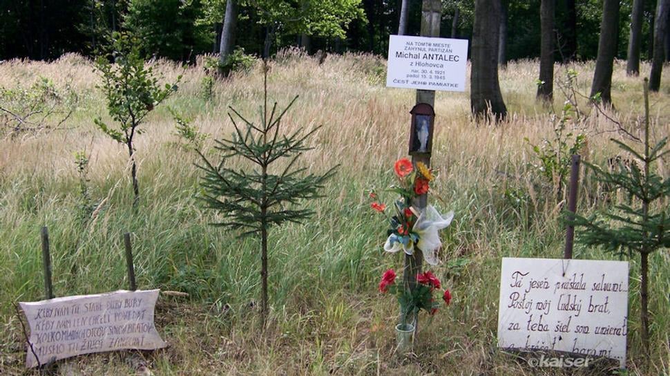 Tá jeseň práskala salvami...
Postoj môj ľudský brat, za teba šiel som umierať a kráčať horami...