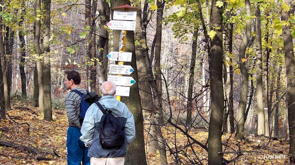 Križovatka ciest v Sedle pod Veľkým Tribečom