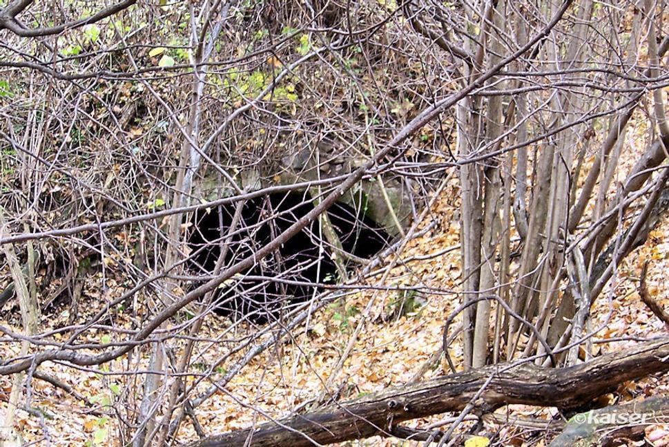 Vchod do jednej zo štôlní hnedouhoľnej bane Viktória