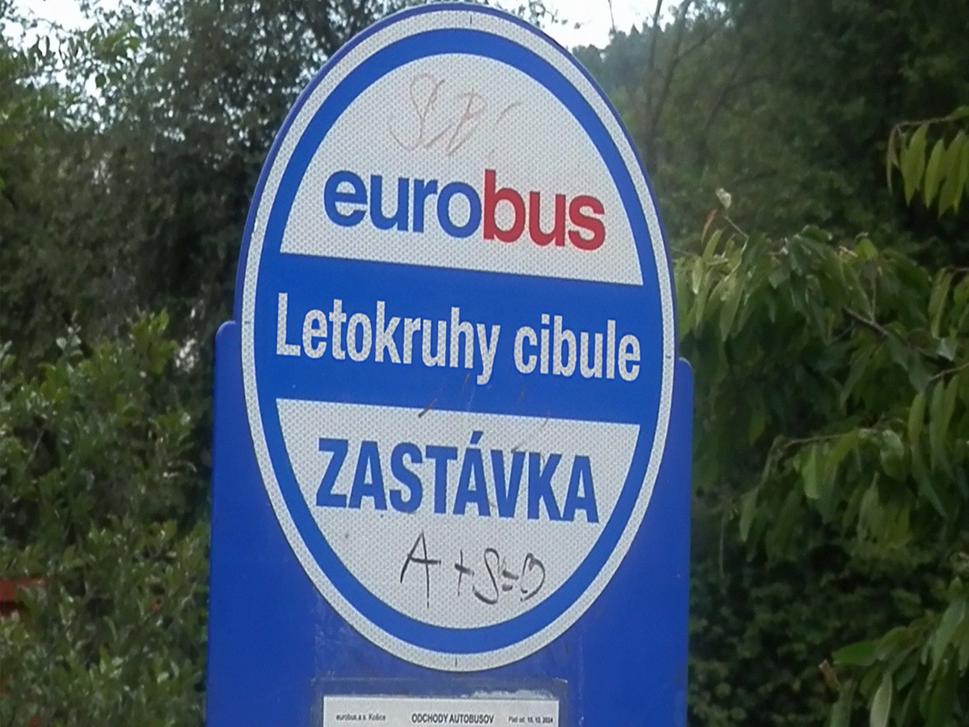 Letokruhy cibule, 2025