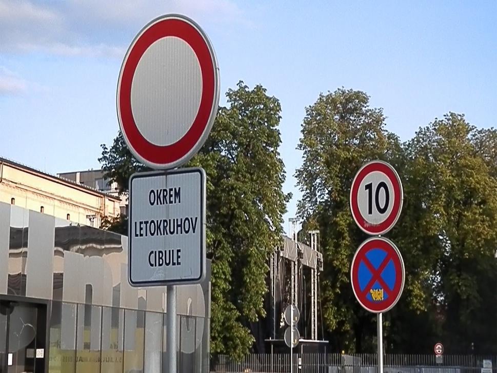 Letokruhy cibule, 2025
