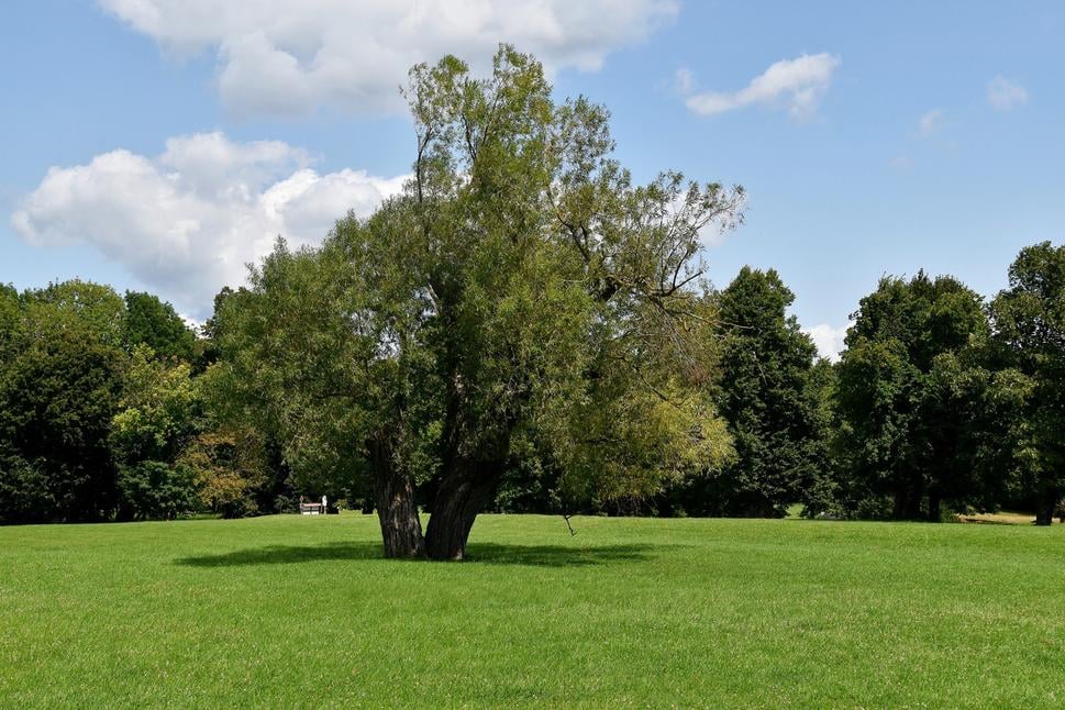 park pred hradom