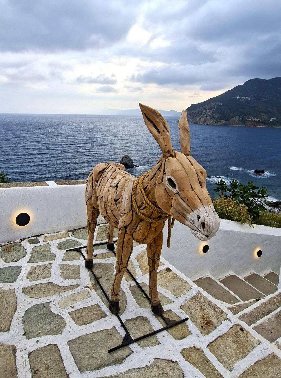 Donkey bar