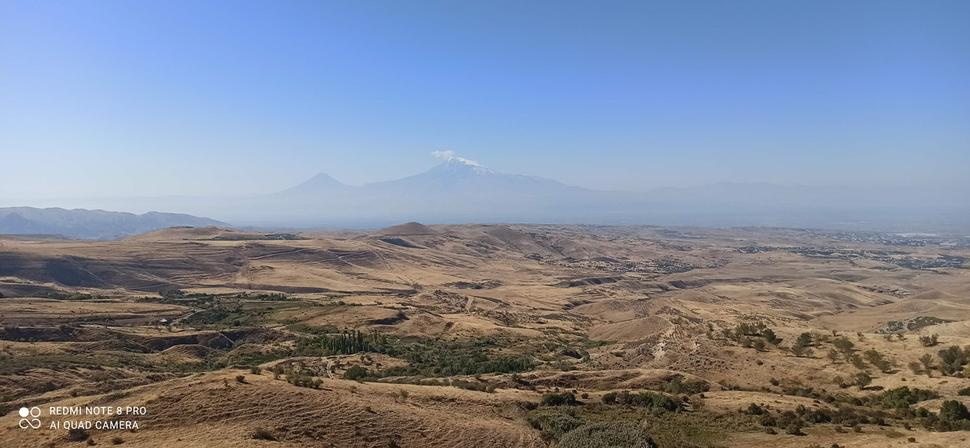 ararat
