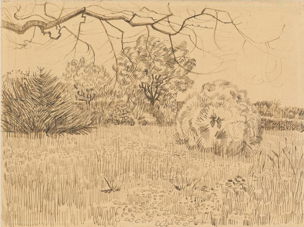 Kresba trstinou a atramentom od Vincenta van Gogha z r. 1888
