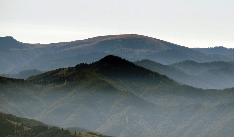 Ploská