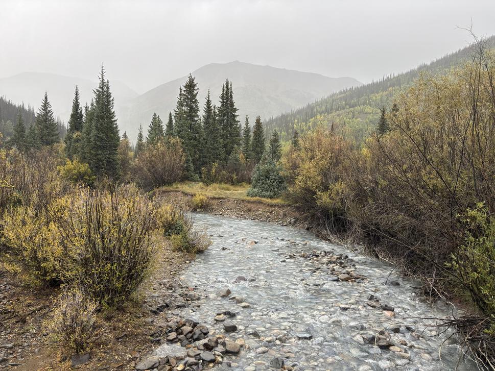 Fork Lake Creek