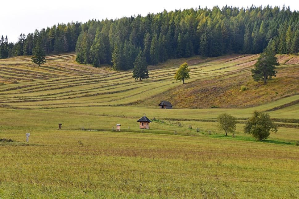 Obrázok blogu
