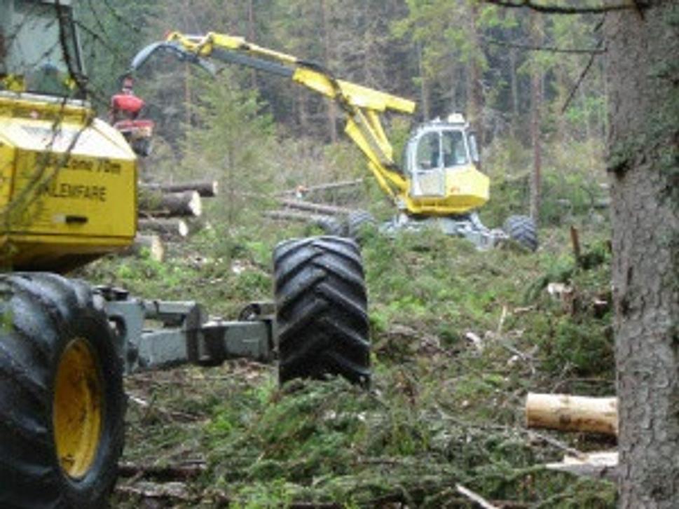 Ťažobné stroje s dlhými ramenami, falický symbol tých čo rozkazujú vetru a dažďu. Národná prírodná rezervácia Tichá dolina, Tatranský národný park