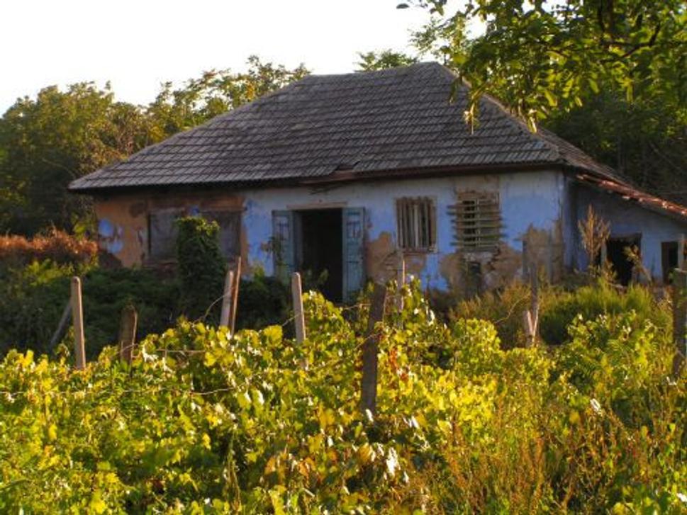 Obrázok blogu
