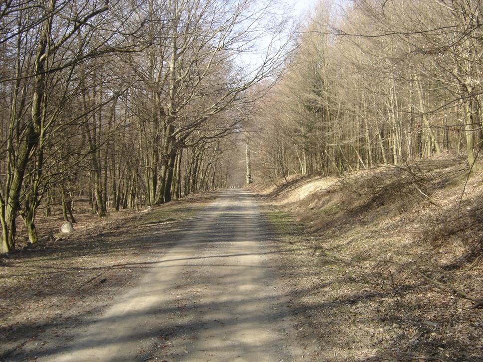 Lesnou cestičkou nad Stupavou