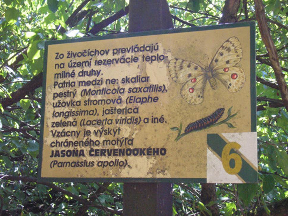 Obrázok blogu