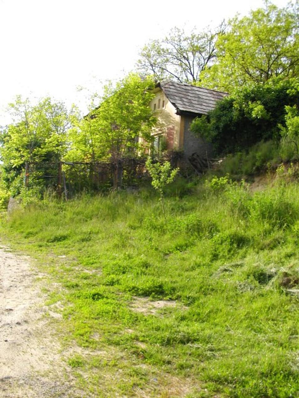 Obrázok blogu
