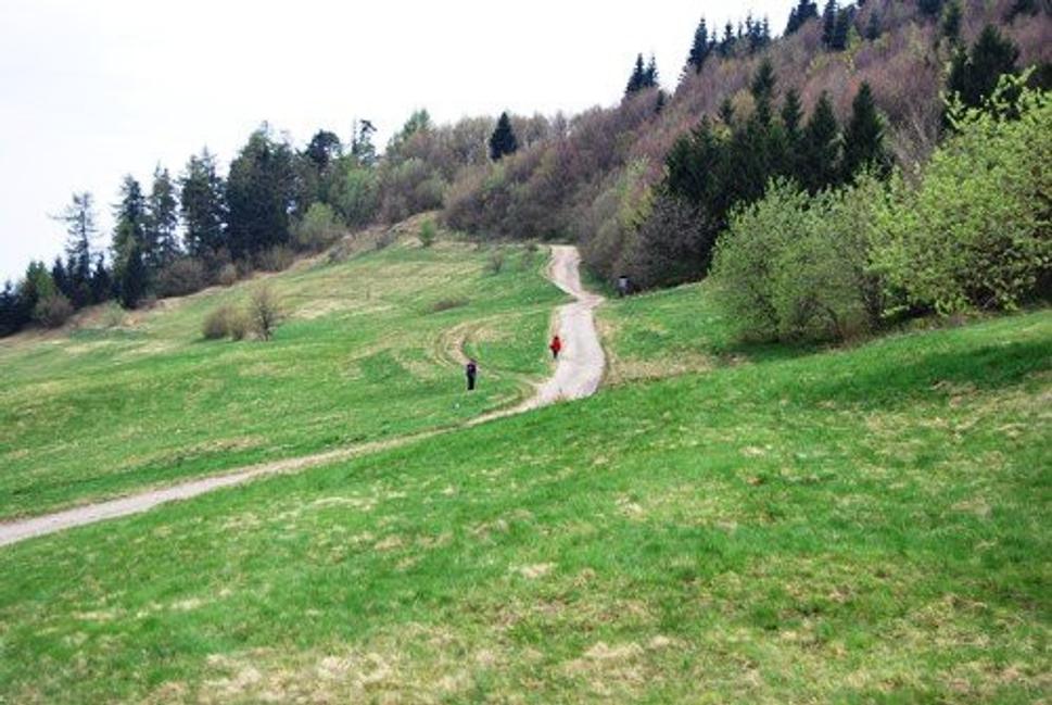 Obrázok blogu