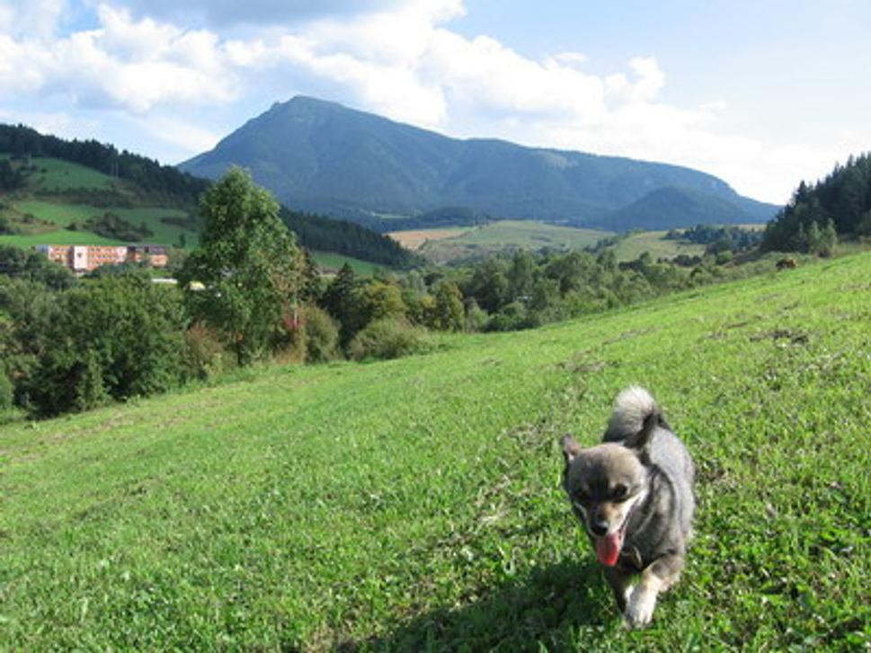 Obrázok blogu