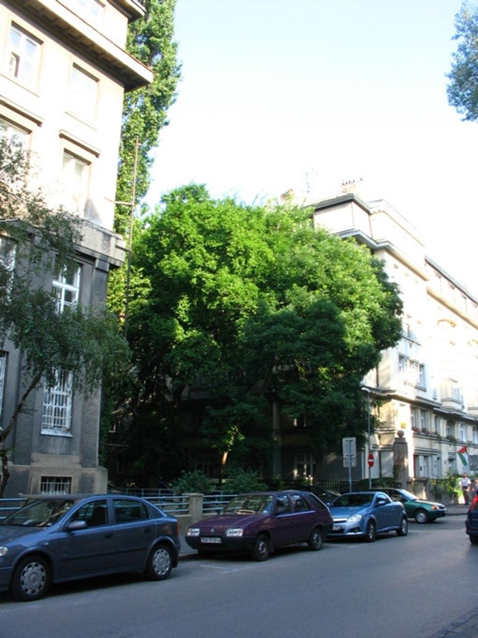 Obrázok blogu