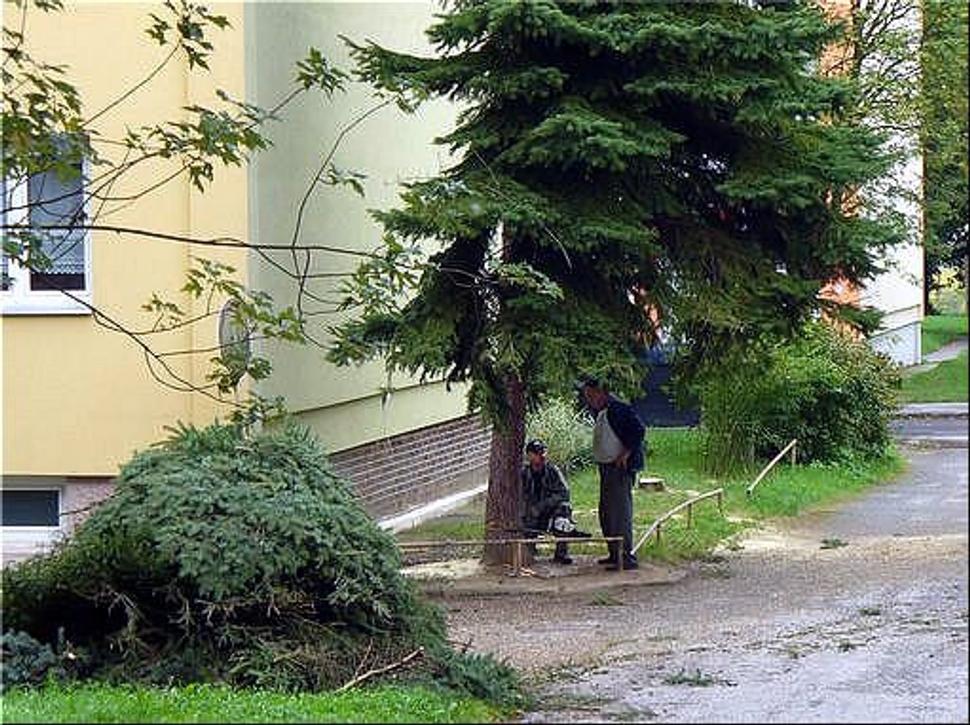Obrázok blogu