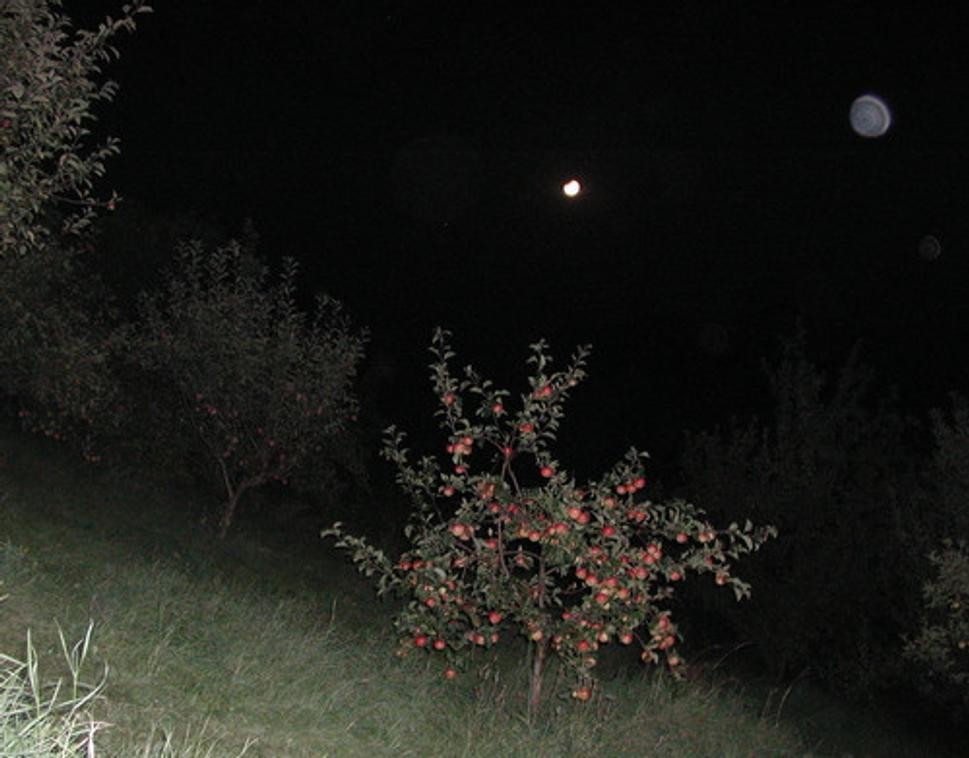 Jabloňka Mesiac a UFO