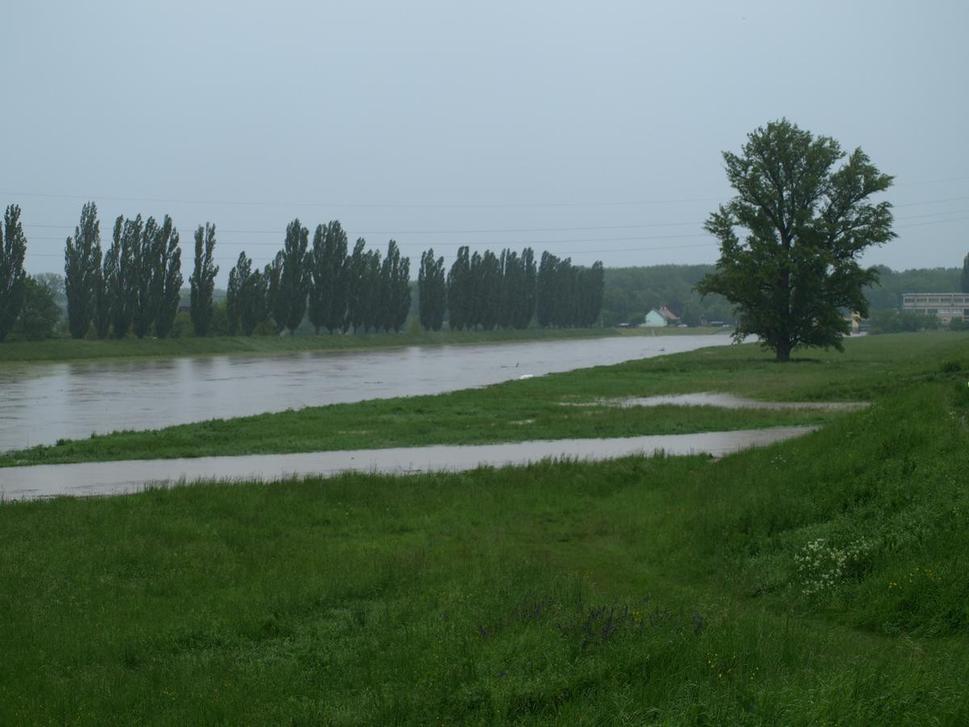 Obrázok blogu