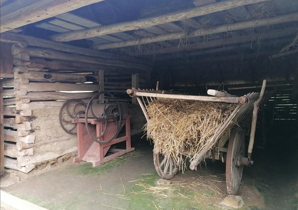Obrázok blogu