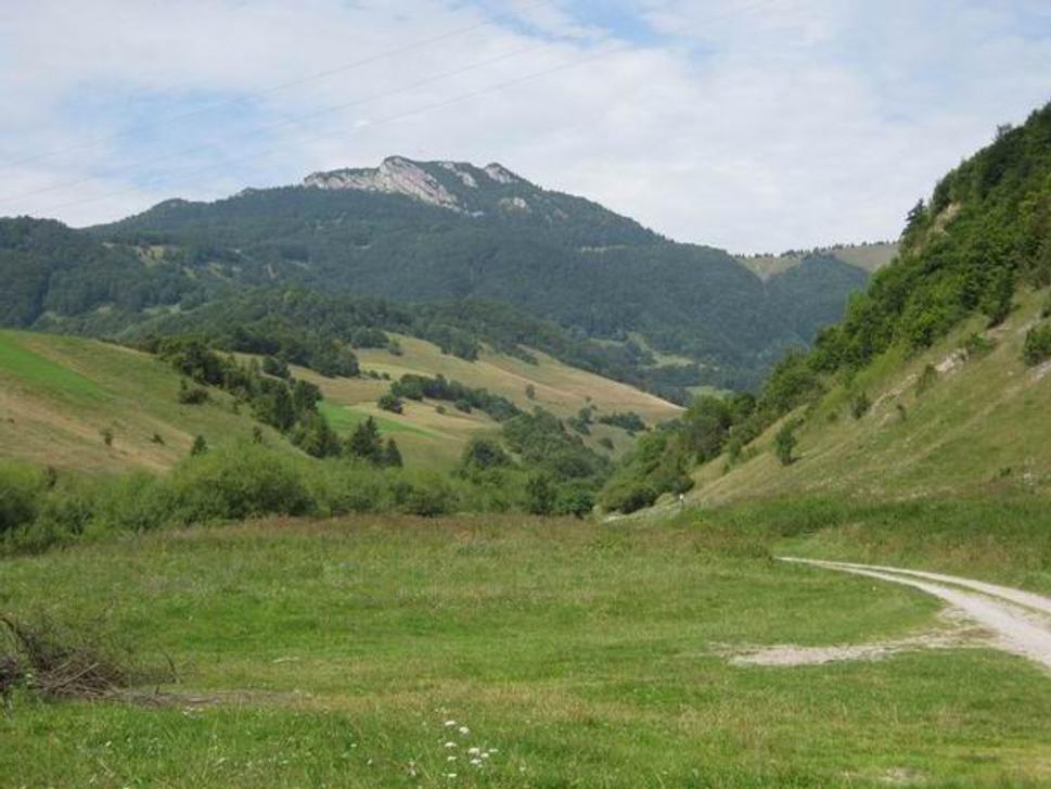 Obrázok blogu