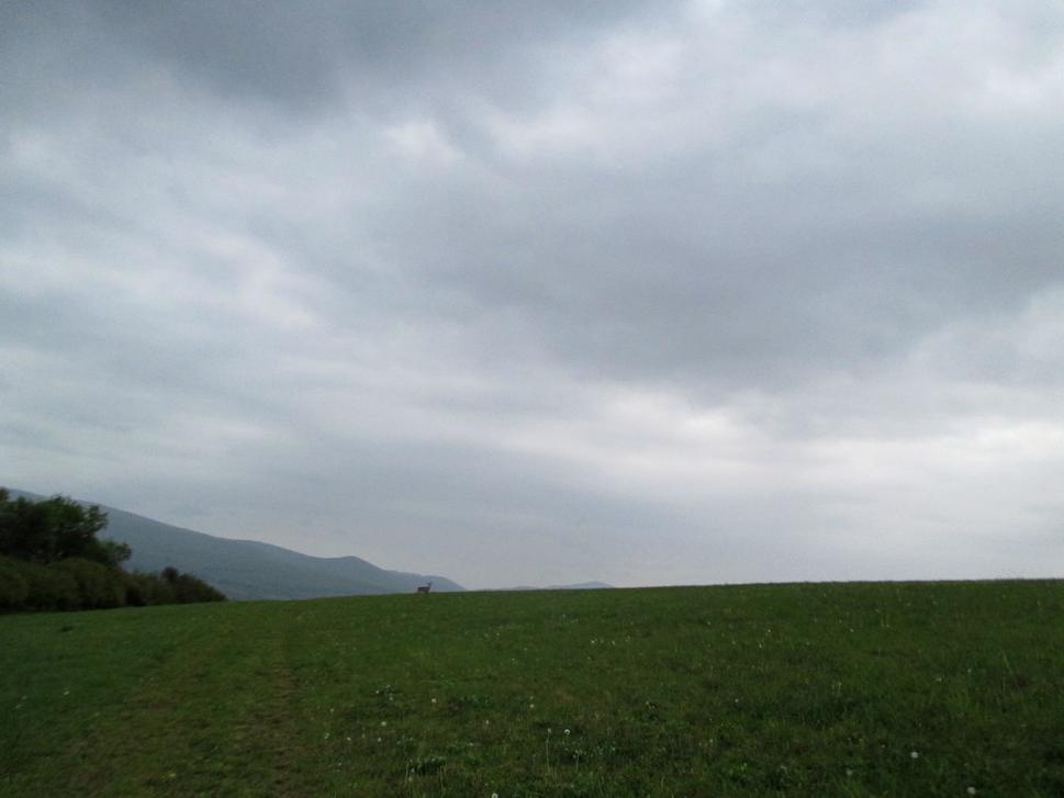 neplašiť plachých obyvateľov lesa