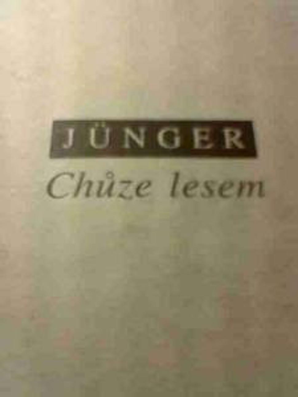 Minimalizmus OIKOYMENH