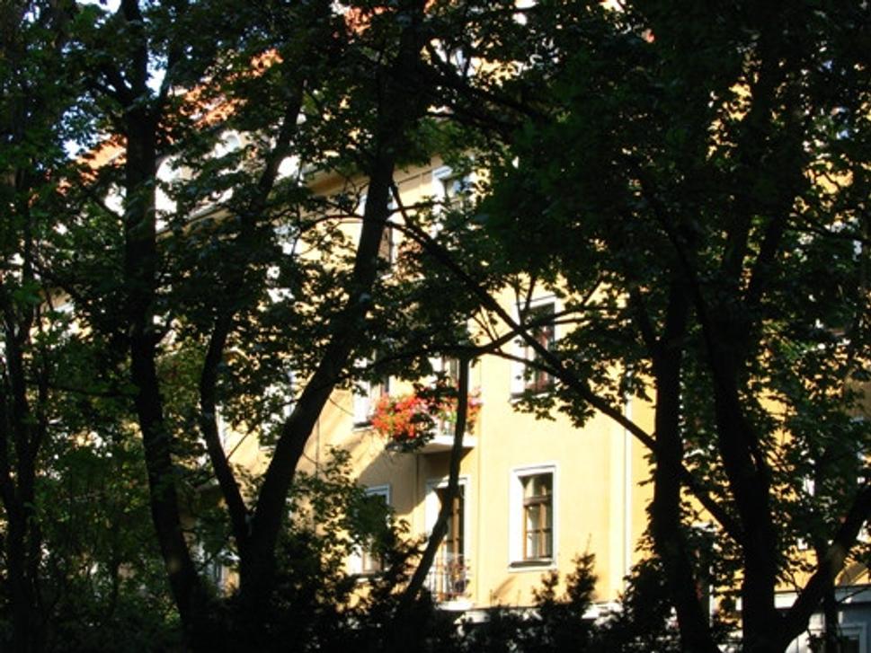 Obrázok blogu