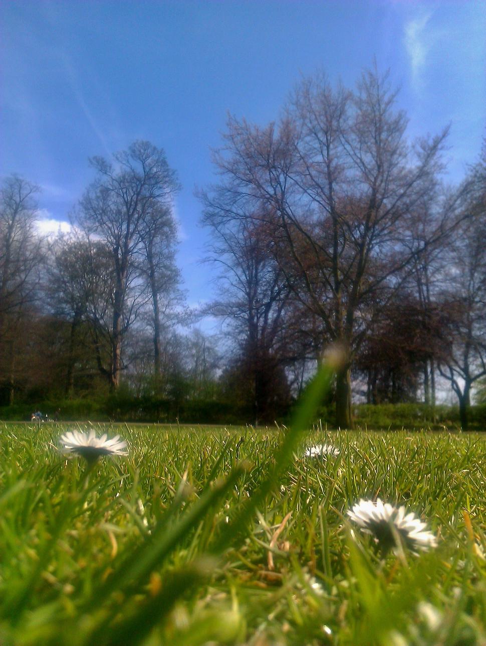 Jesus Green Park