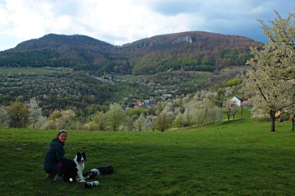Brdárka - dog & family friendly :)