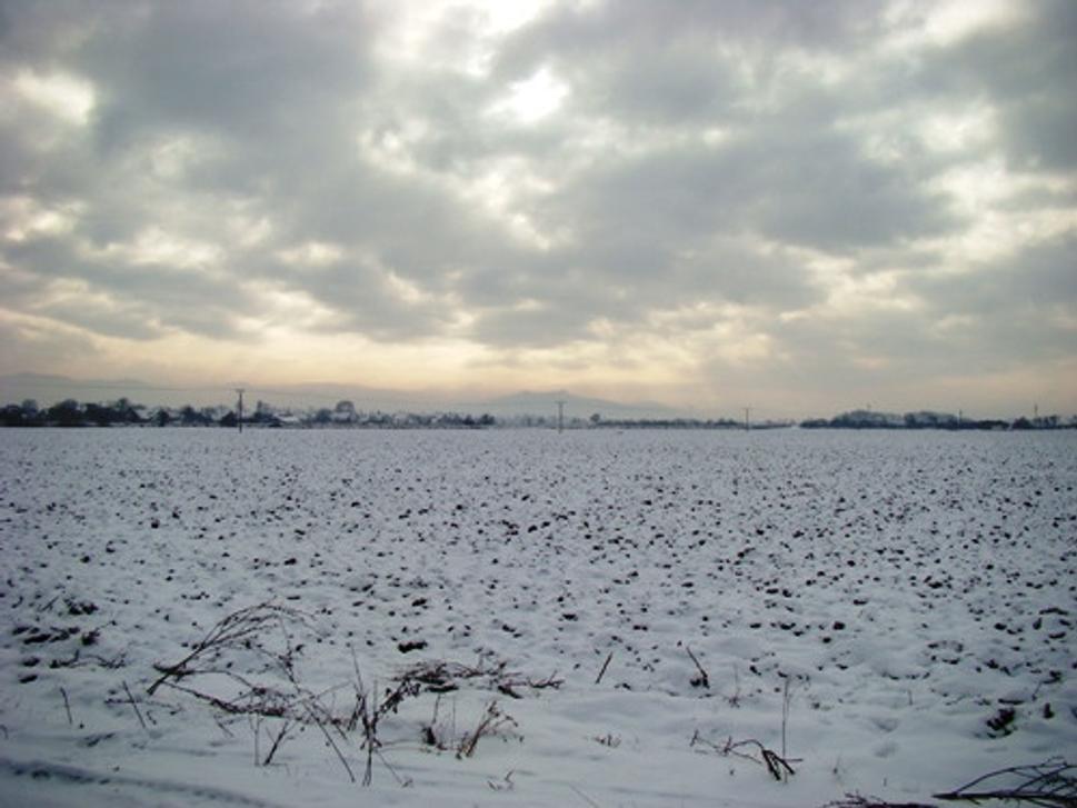 Obrázok blogu
