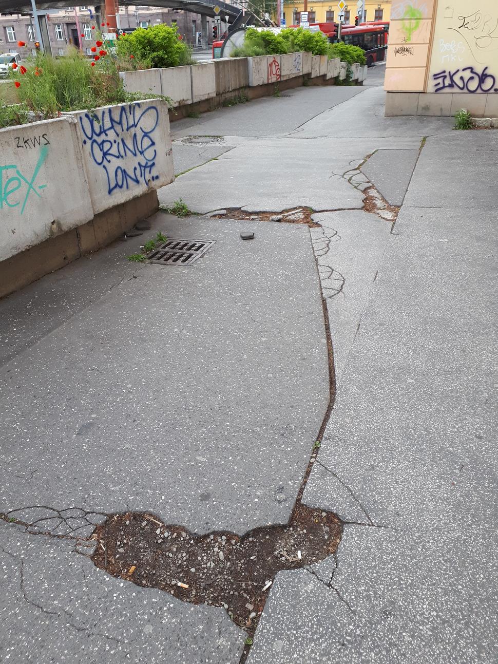 Obrázok blogu