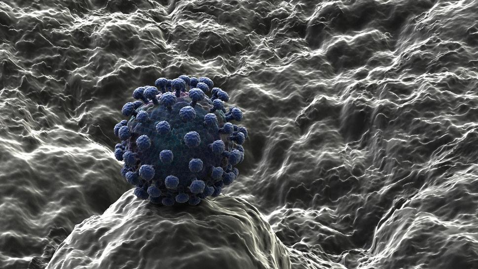 vírus hepatitídy typu C (zdroj: Moving Medical Media archív)