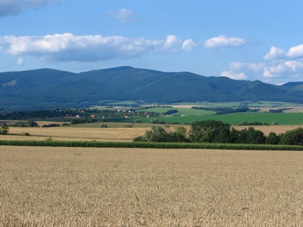 Obrázok blogu