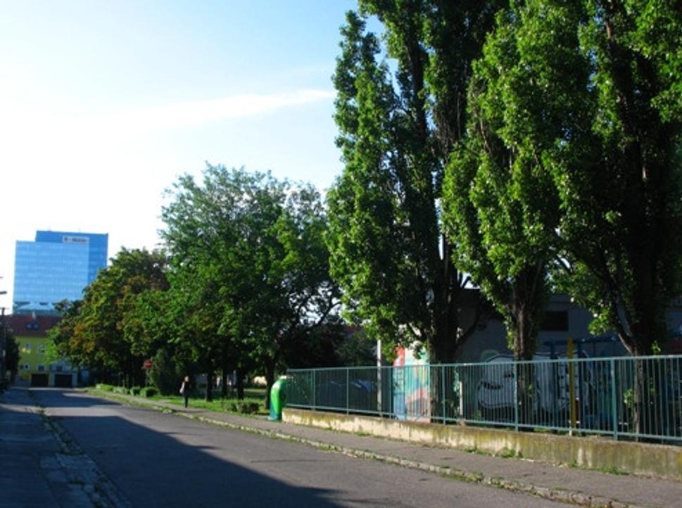 Obrázok blogu