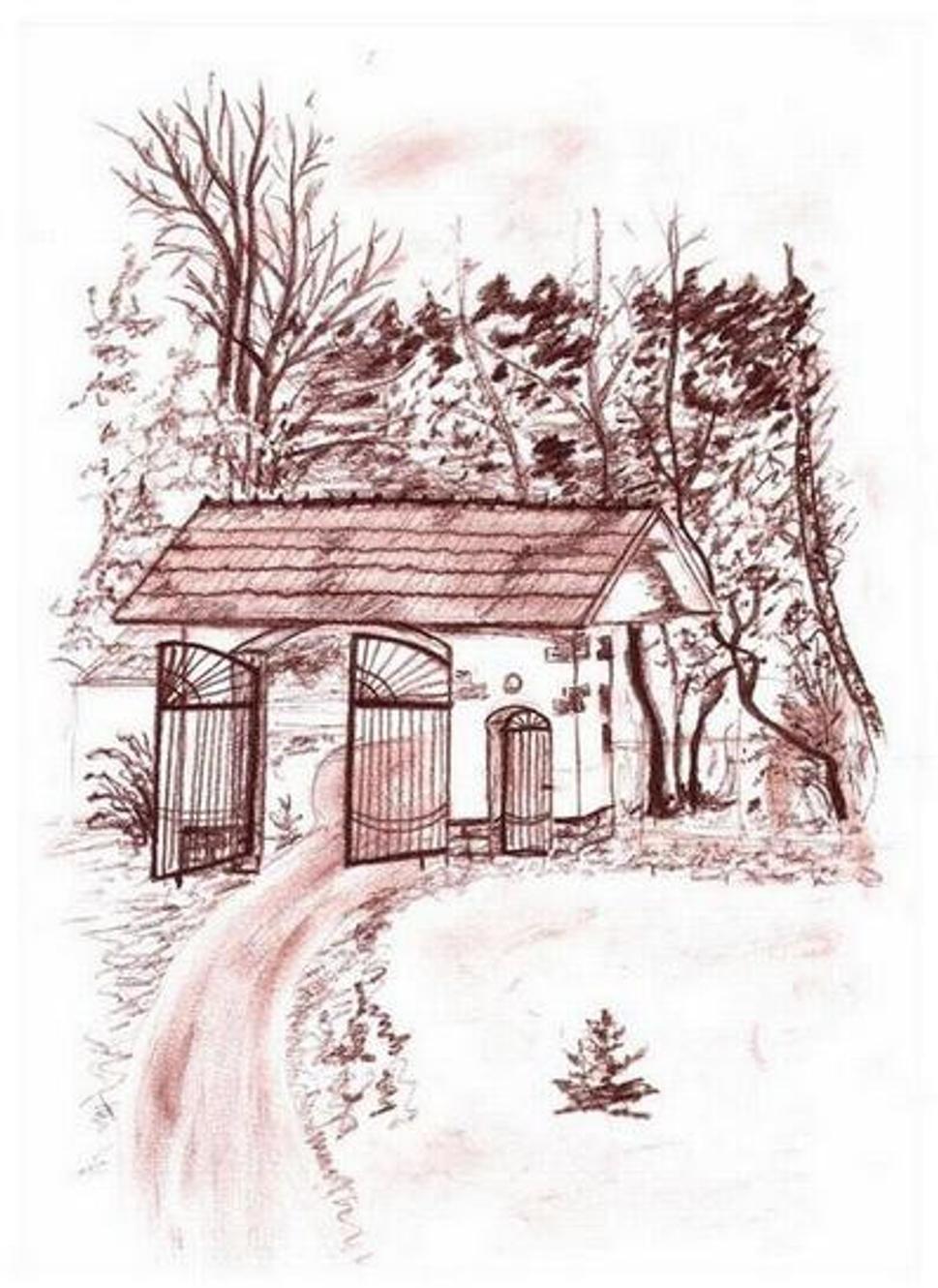 Obrázok blogu