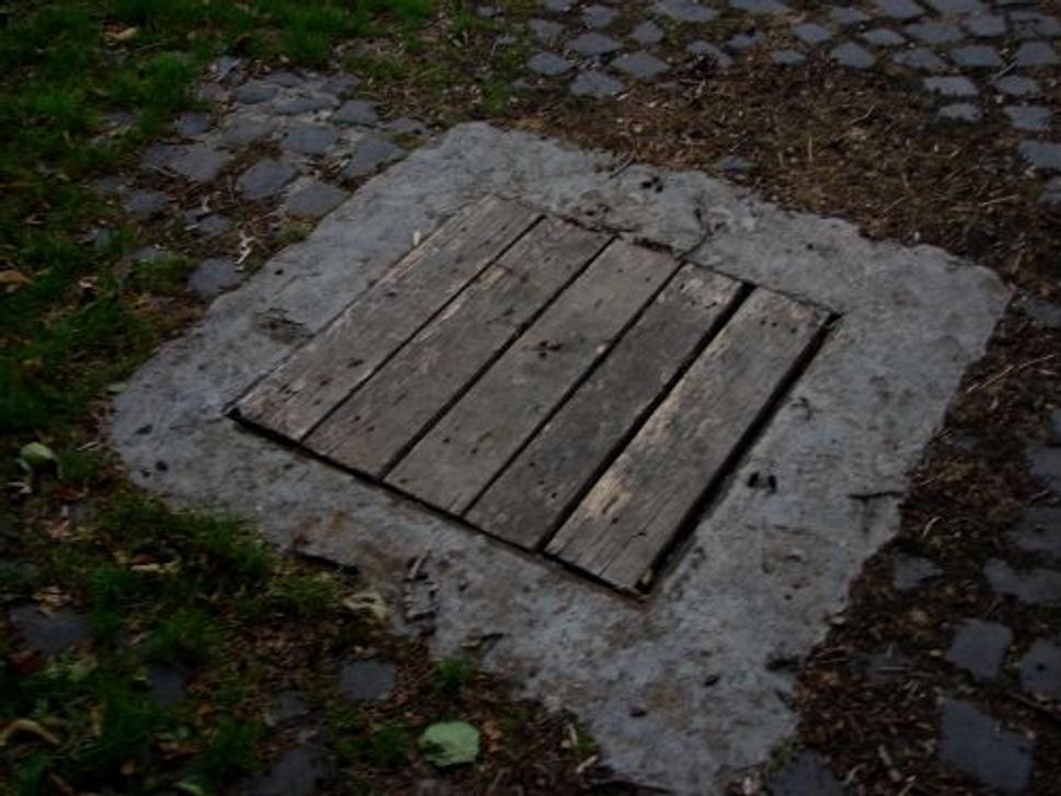 Obrázok blogu