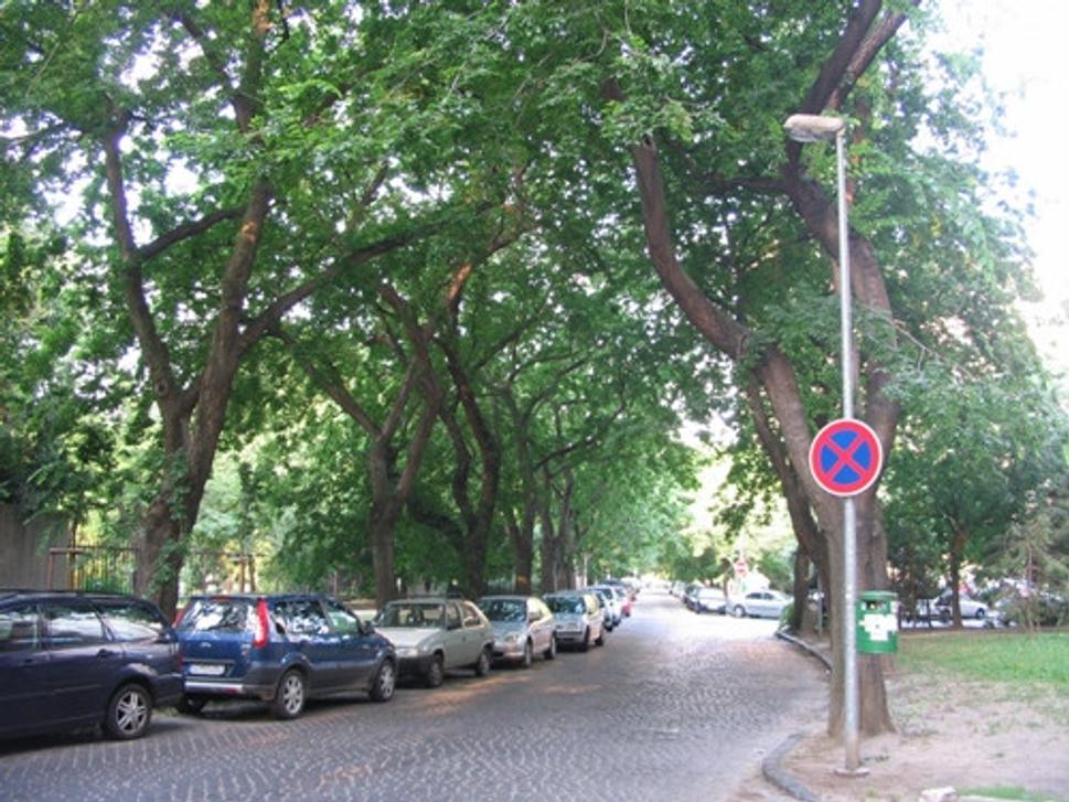 Obrázok blogu