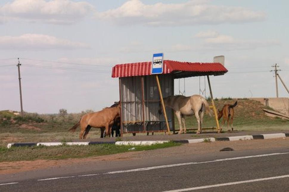 Obrázok blogu