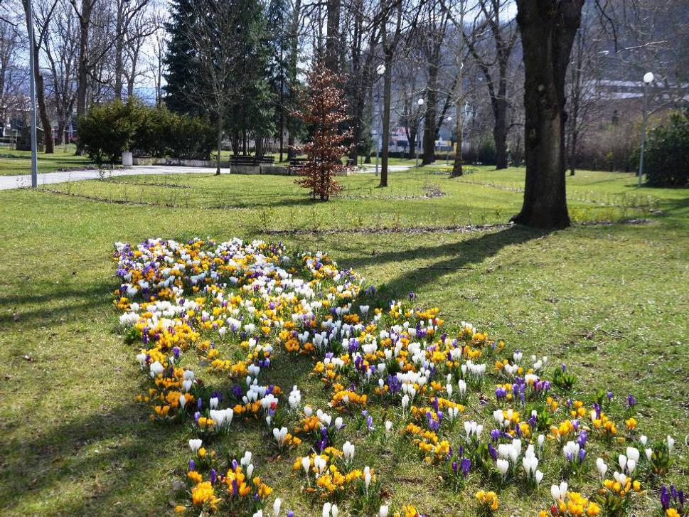Park