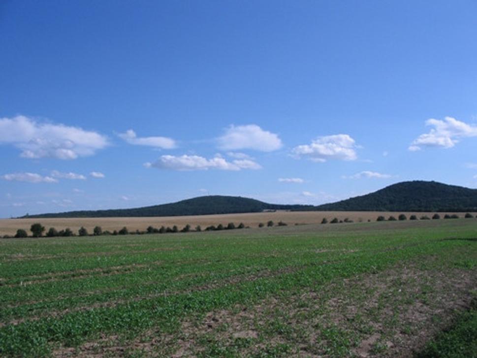 Obrázok blogu