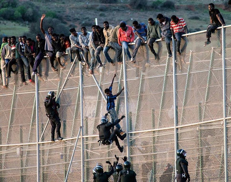 migranti