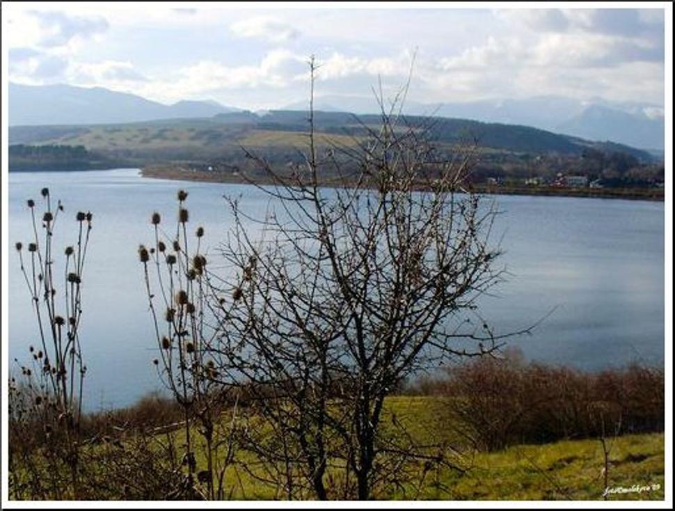 Obrázok blogu