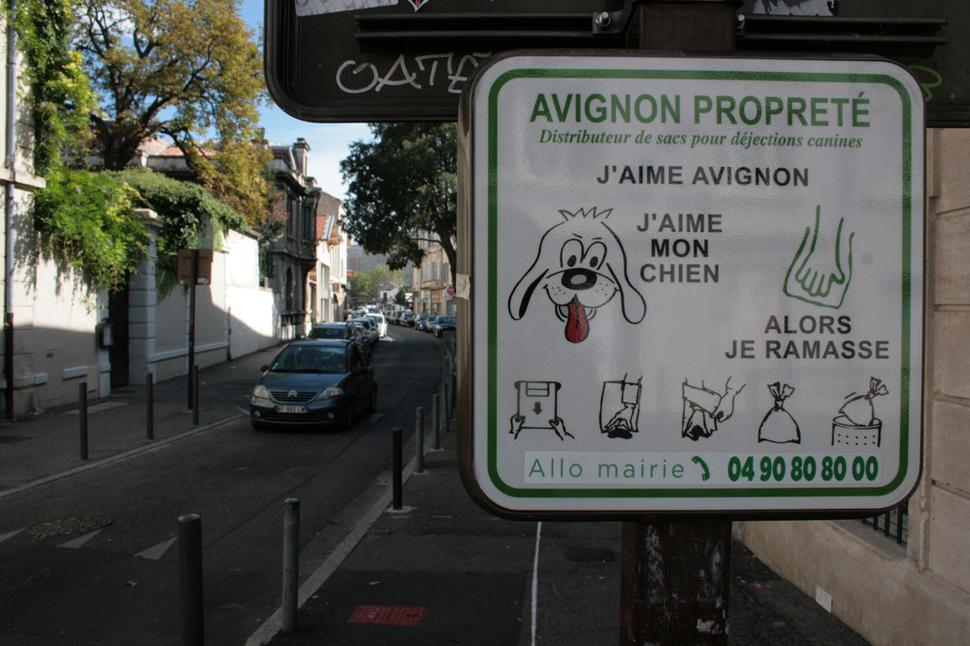Milujem Avignon - milujem môjho psa - potom po ňom upracem.